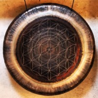 N°33 - Fleur de vie pleine 1