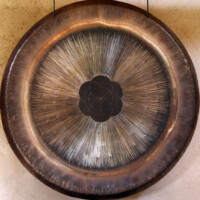 N°53 - Graine de vie