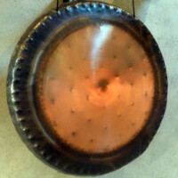 N°12 - Le secret de la fleur de vie