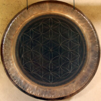 N°68 - Fleur de vie pleine 2